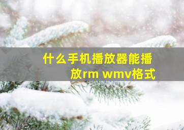 什么手机播放器能播放rm wmv格式